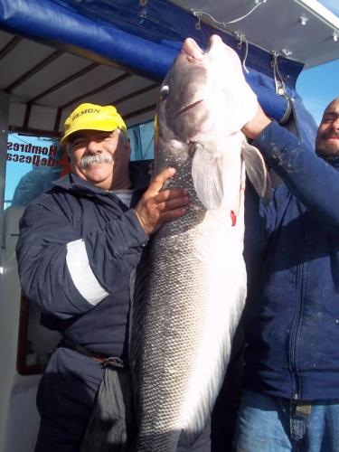 GIGANTES DEL MAR